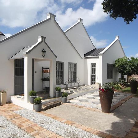 The Lily House Otel Hermanus Dış mekan fotoğraf